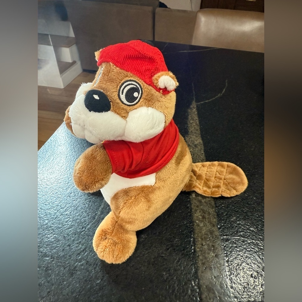 Buc-ee’s Plush Beaver Mascot – 10” – Jaag - Picture 7 of 7